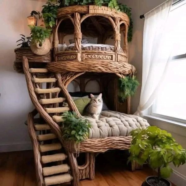 Cat  Tower.jpg