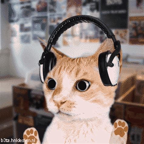 Cat with Headphones.jpeg