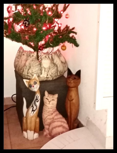 Cats Under Tree 20.jpg