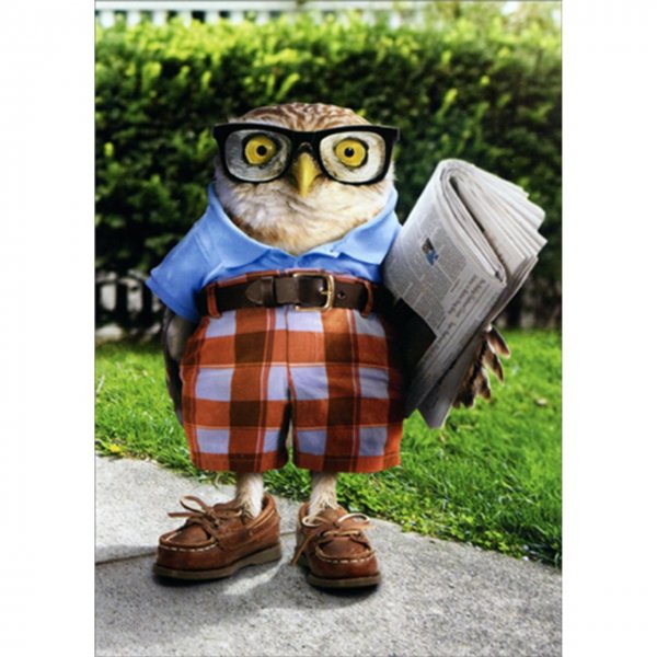 cd17592-owl-wearing-glasses-orange-shorts-and-brown-shoes-funny-fathers-day-card-avanti__48551.jpg