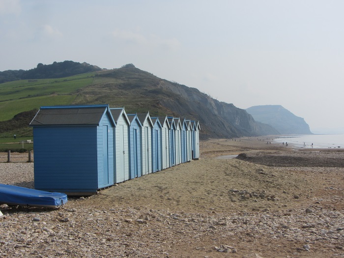 charmouth.jpg