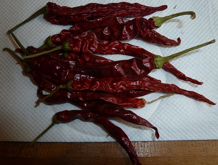 chili dried.jpg