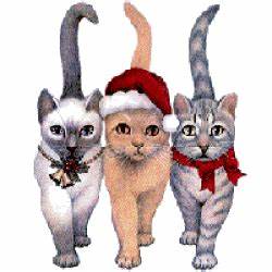 Christmas Cats.jpeg