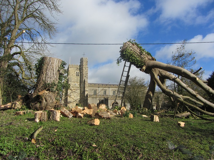 churchyard.jpg