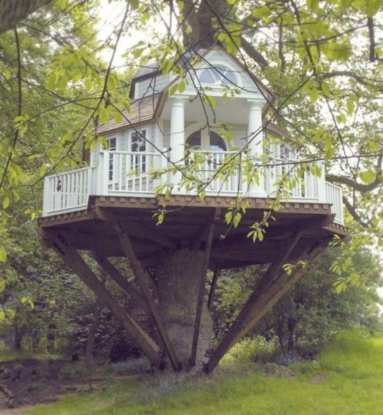 Colonial-Style-Tree-House.jpg