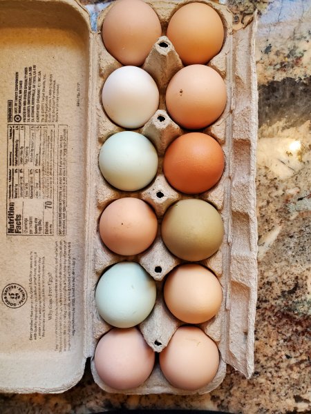 colorful eggs.jpg