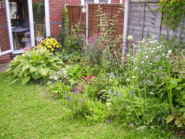 Copy of garden23july2012xx008.JPG