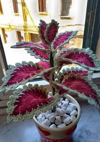 Crochet Coleus.jpg