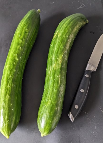 cucumbers 2Aug24.jpg