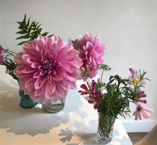 dahlias.jpg