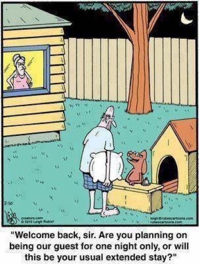 Doghouse.jpg