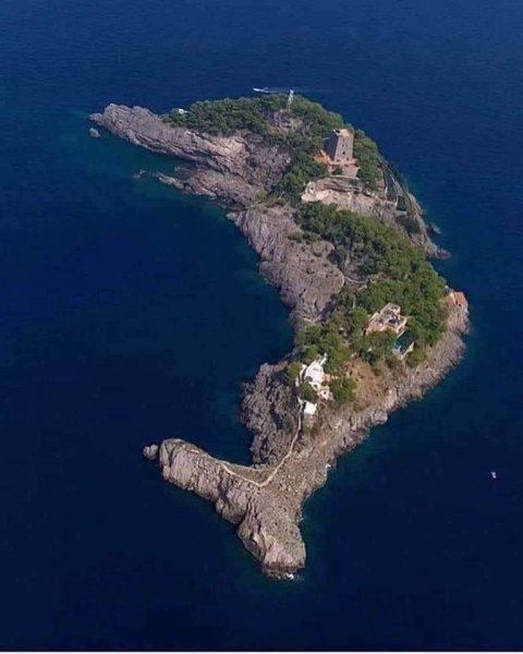 Dolphin Island Italy.jpg