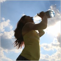 drinking_sun_water_237104.jpg