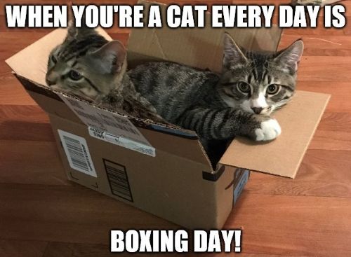 Every day is Boxing Gay.jpg