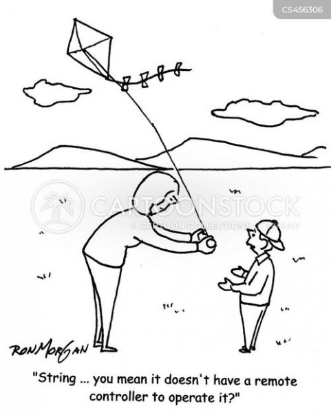 families-kite-kite_flying-kite_fliers-kids-gadgets-rmon3935_low.jpg