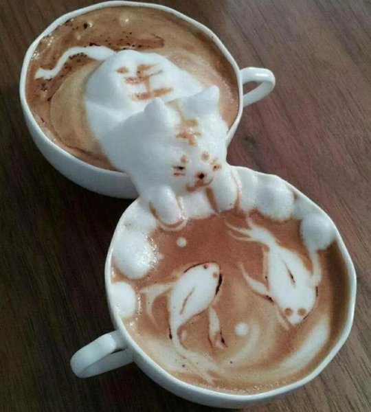 fancy a coffee.jpg