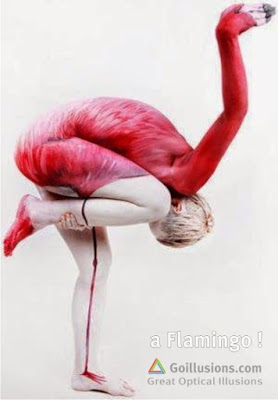 Flamingo.jpg