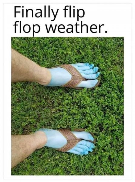 FlipFlops.jpg