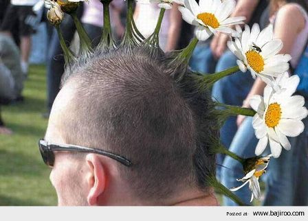 FLOWERS IN YR HAIR -crazy-hairstyles.jpg