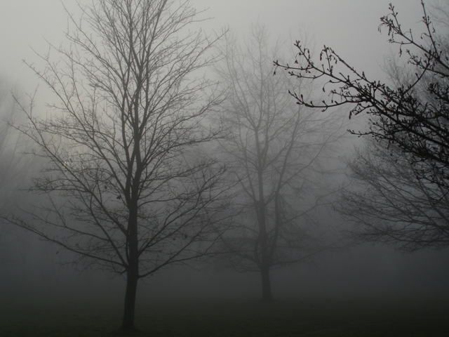 Foggy Day 002.JPG