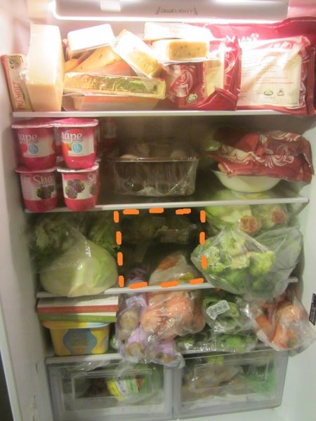 fridge.jpg