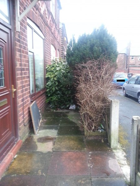 Front Garden 14032013a.jpg