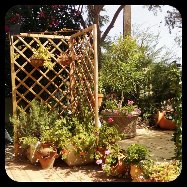 Front Patio 22 Aug 21.jpg