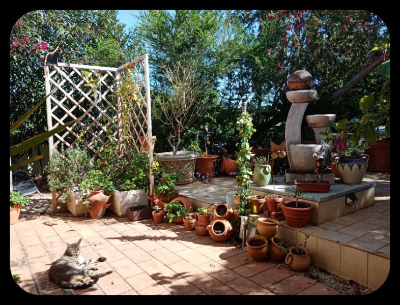 Front Patio 28 Mar 23.jpg