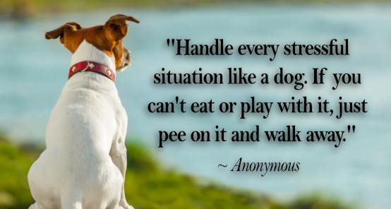 Funny-Dog-Quotes-3.png