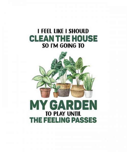 funny-gardening-quote-do-thanh-binh.jpg