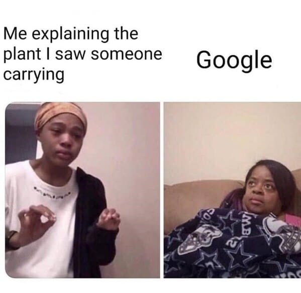 funny-plant-memes-1.jpg