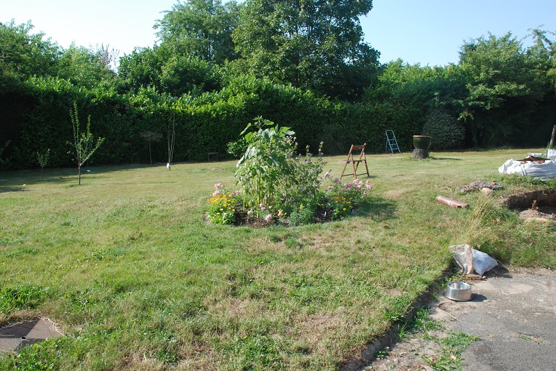 garden shots 2013-08-02 001.JPG