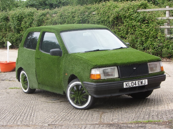 GC grass car.jpg