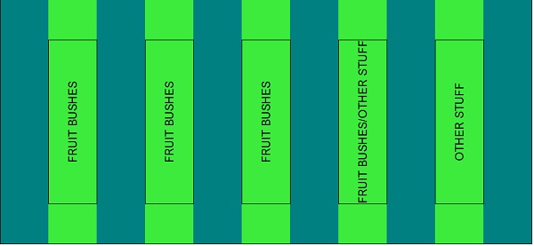 GC strip beds.jpg