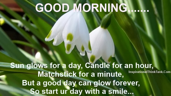 Good-Morning-White-Flowers-with-Green-leaves-Good-Morning-Messages-Pictures.jpg