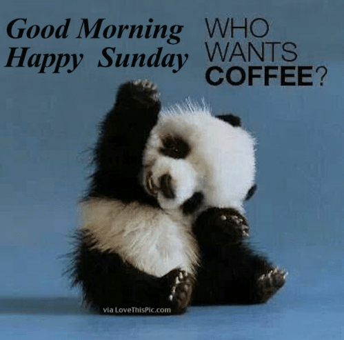 good-morning-who-wants-happy-sunday-coffee-via-lovethispic-com-good-52641666.png