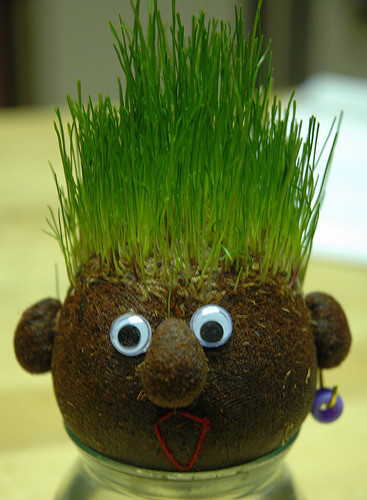 Grass Head Kids DIY Earth Day Craft Project Free Green Planting ___.jpg