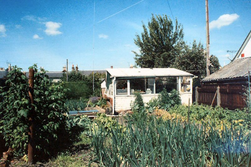 greenhouse 1980s.jpg