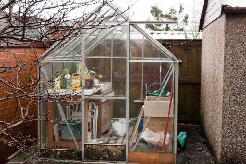 Greenhouse.jpg