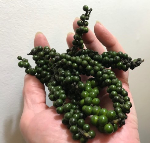 greenpeppers1.jpg