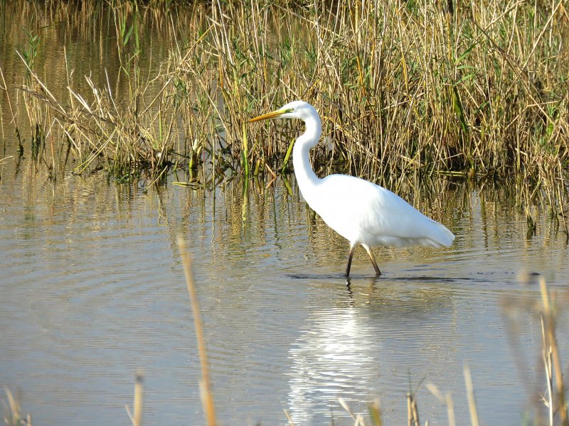 GWE 1.jpg