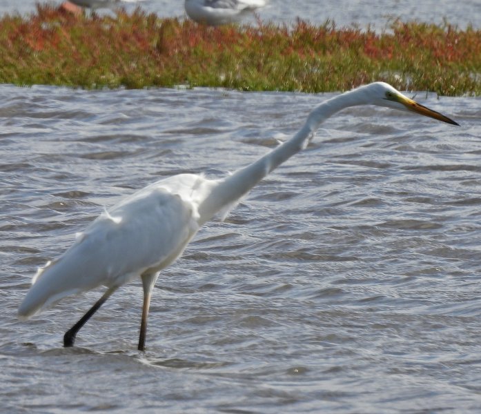 GWE 3.JPG