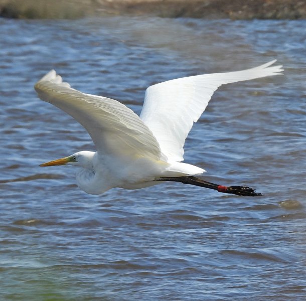 GWE 6.JPG