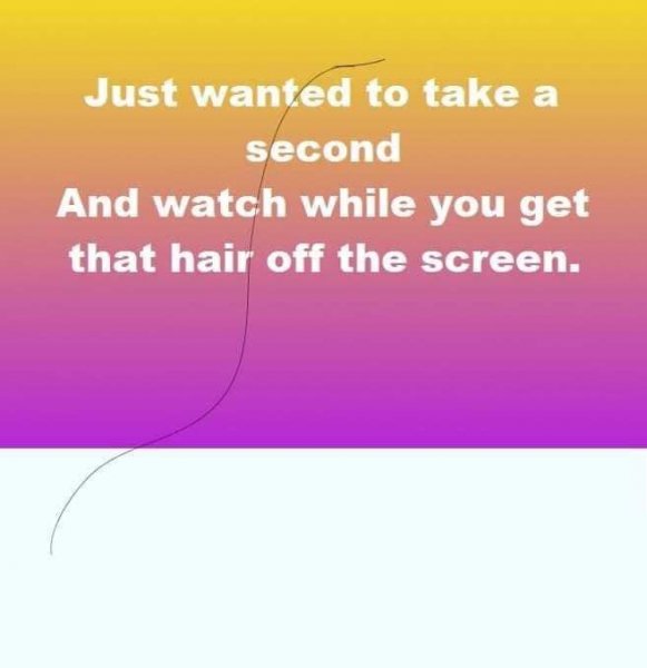 Hair on screen.jpg