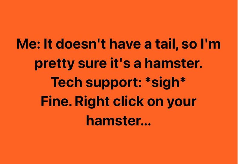 hamster.jpg