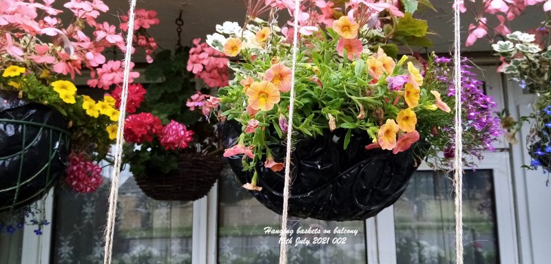 Hanging baskets on balcony 15th July 2021 002.jpg