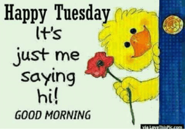 happy-tuesday-its-just-me-saying-hi-good-morning-via-5418606.png