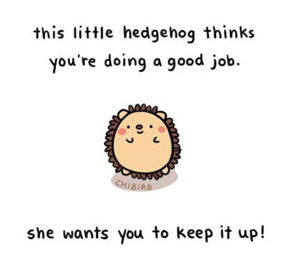 -hedgehog-meme-cute-hedgehog.jpg