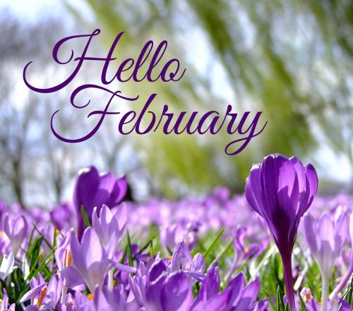 Hello February.jpg