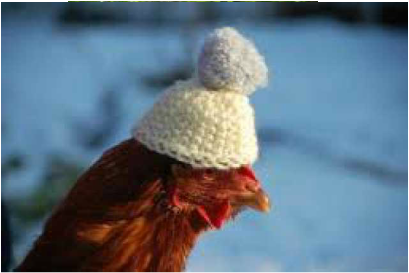 HEN HAT_Funny.png